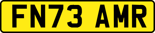 FN73AMR