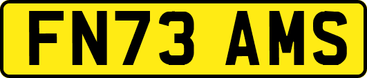 FN73AMS
