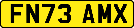 FN73AMX