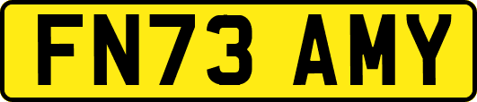 FN73AMY
