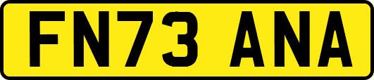 FN73ANA