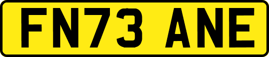FN73ANE