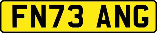 FN73ANG