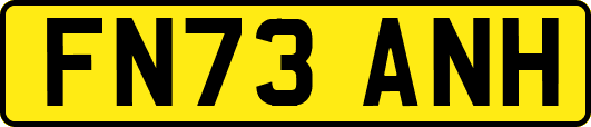 FN73ANH