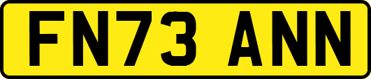 FN73ANN