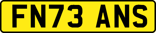 FN73ANS