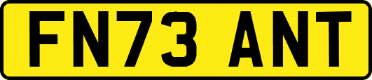 FN73ANT