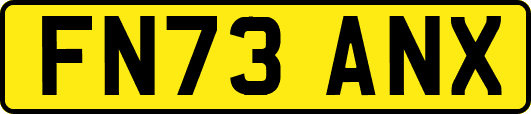 FN73ANX