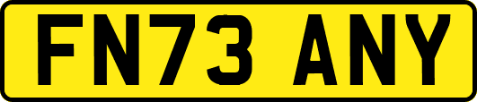 FN73ANY