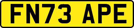 FN73APE