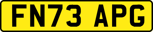 FN73APG