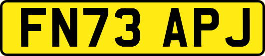 FN73APJ