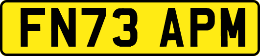 FN73APM