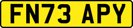 FN73APY