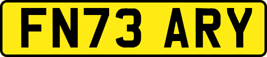 FN73ARY