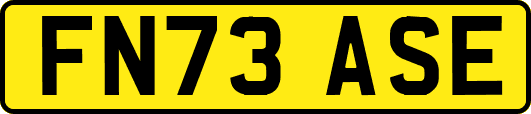 FN73ASE