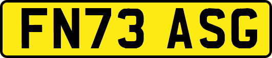 FN73ASG