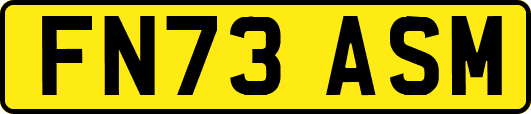 FN73ASM