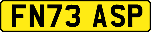 FN73ASP