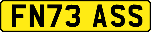 FN73ASS