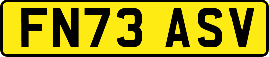 FN73ASV