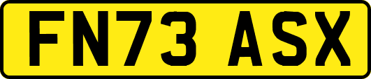 FN73ASX