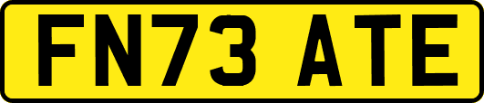 FN73ATE
