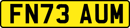 FN73AUM