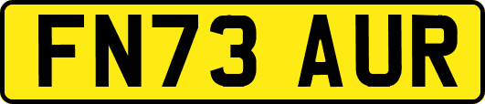 FN73AUR