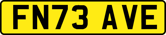 FN73AVE