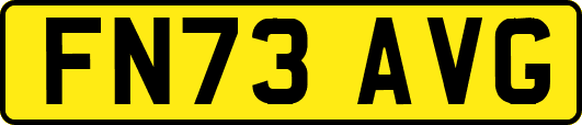 FN73AVG