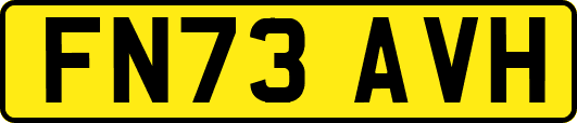 FN73AVH