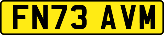 FN73AVM
