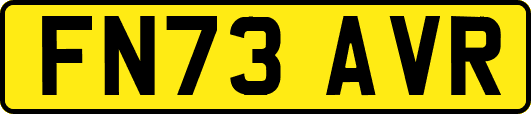 FN73AVR