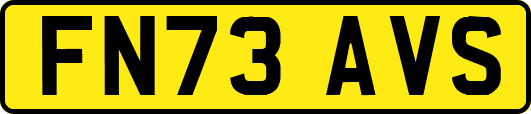 FN73AVS