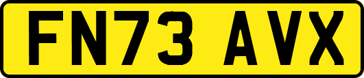 FN73AVX