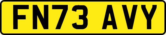 FN73AVY