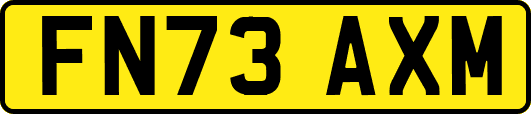 FN73AXM