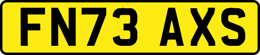 FN73AXS