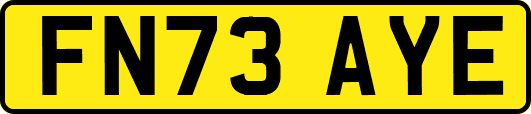 FN73AYE