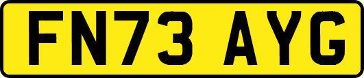 FN73AYG