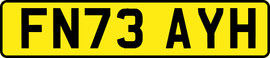 FN73AYH