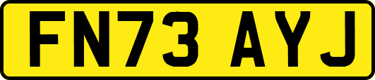 FN73AYJ