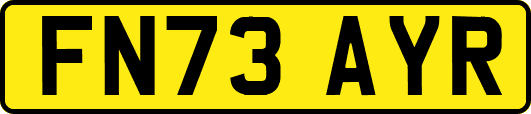 FN73AYR