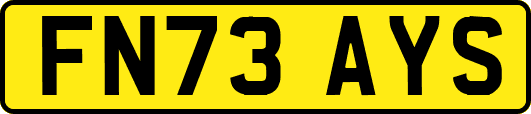 FN73AYS