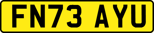 FN73AYU