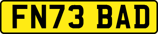 FN73BAD