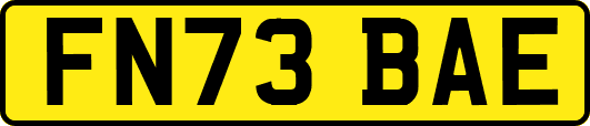 FN73BAE