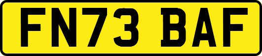 FN73BAF