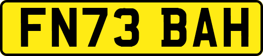 FN73BAH